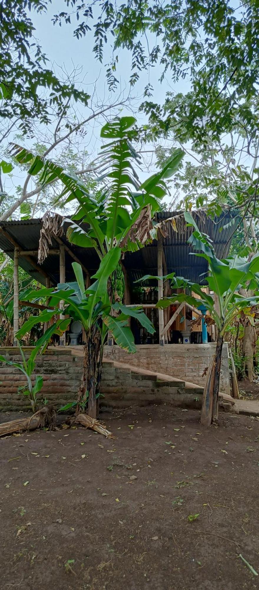 La Sirenita - Ometepe Hotel Altagracia ภายนอก รูปภาพ